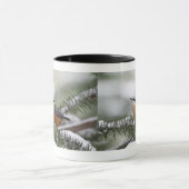 Nuthatch op Snowy Branch in Winter Mok (Midden)