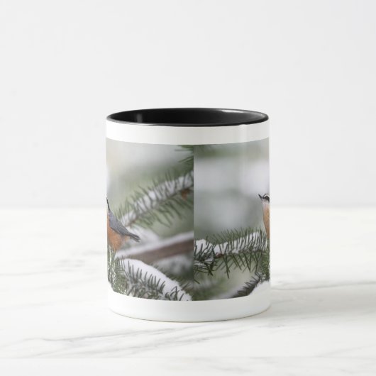 Nuthatch op Snowy Branch in Winter Mok (Midden)