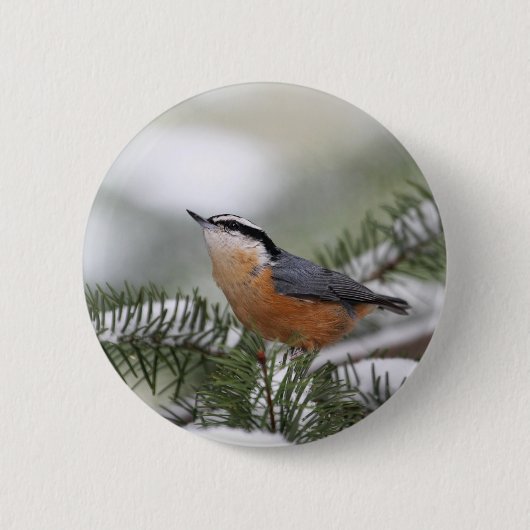 Nuthatch op Snowy Branch in Winter Ronde Button 5,7 Cm (Voorkant)