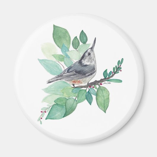 Nuthatch op tak magneet (Voorkant)