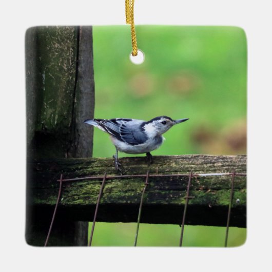 Nuthatch Ornament (Voorkant)