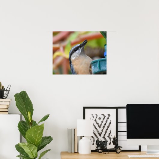 Nuthatch Poster (Thuiskantoor)