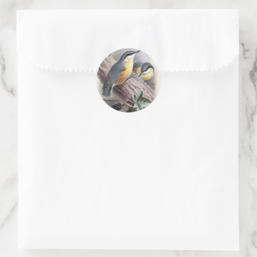 Nuthatch Ronde Sticker (Tas)
