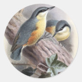 Nuthatch Ronde Sticker (Voorkant)