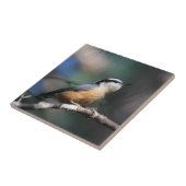 Nuthatch Tegeltje (Zijkant)