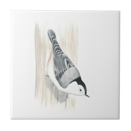 Nuthatch Tile met witte borstkas Tegeltje (Voorkant)