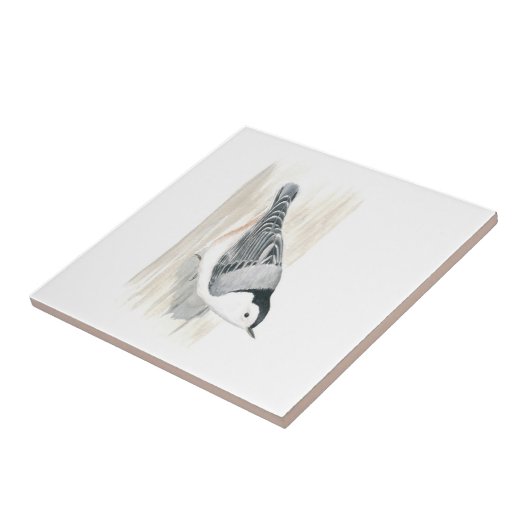 Nuthatch Tile met witte borstkas Tegeltje (Zijkant)