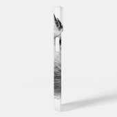 Nuthatch White Bird Fotografie Case-Mate iPhone Case (Achterkant / Rechts)