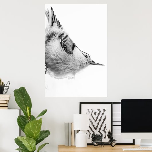 Nuthatch, White Bird fotografie Poster (Thuiskantoor)