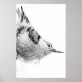 Nuthatch, White Bird fotografie Poster (Voorkant)