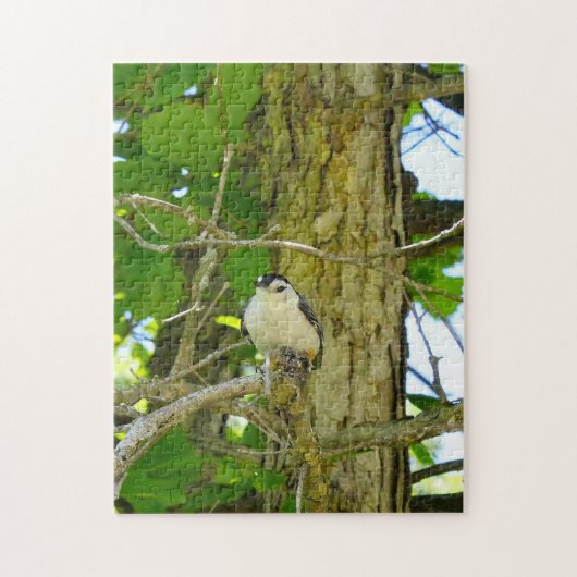 Nuthatch Wildlife Michigan Legpuzzel (Verticaal)
