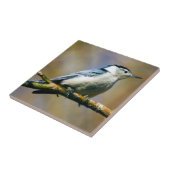 Nuthatch wit-Breasted de Ceramische Tegel van de Tegeltje (Zijkant)