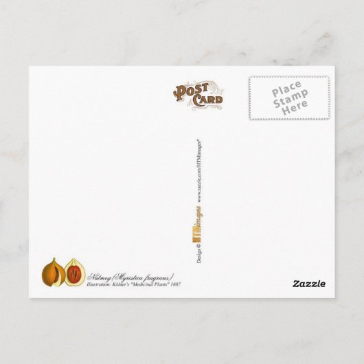 Nutmeg -  afbeelding briefkaart (Achterkant)