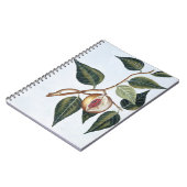 Nutmeg, bord 7, uit 'Collectie Precieuse et Enl Notitieboek (Linkerzijde)