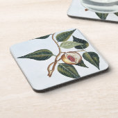 Nutmeg, bord 7, uit 'Collectie Precieuse et Enl Onderzetter (Linkerzijde)