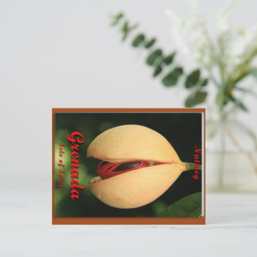 Nutmeg Briefkaart (Staand voorkant)
