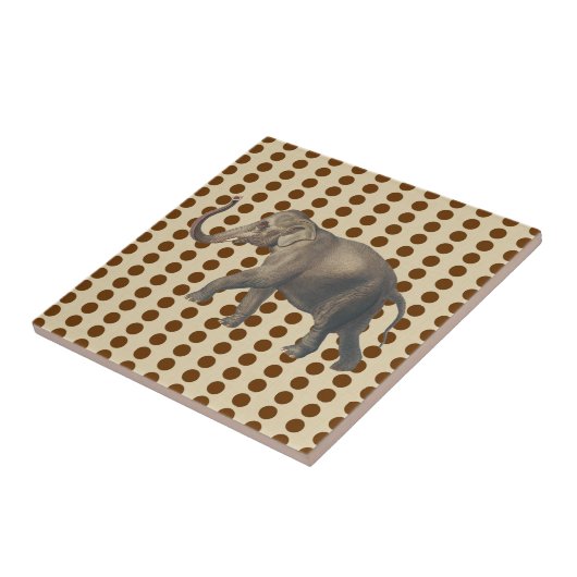 Nutmeg Spice Moods Stippen met olifant Tegeltje (Zijkant)