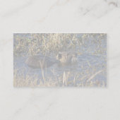 Nutria in water visitekaartje (Achterkant)