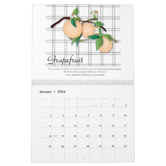 Nutritional Fruits, 2011 (met voedingsinfo) Kalender (Jan 2026)