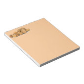 Nuts notebook notitieblok (Schuin)