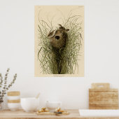 Nuttall's mindere marsh Wren Poster (Keuken)