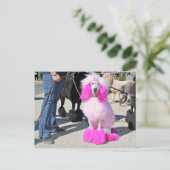 Nutteloze dag 2016 - Barnes - Roze standaardpoel Briefkaart (Staand voorkant)