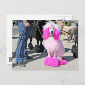 Nutteloze dag 2016 - Barnes - Roze standaardpoel Briefkaart (Voorkant / Achterkant)