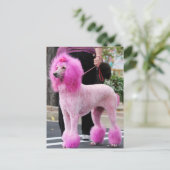 Nuttige dag 2010 #11 briefkaart (Staand voorkant)