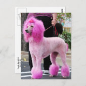 Nuttige dag 2010 #11 briefkaart (Voorkant / Achterkant)