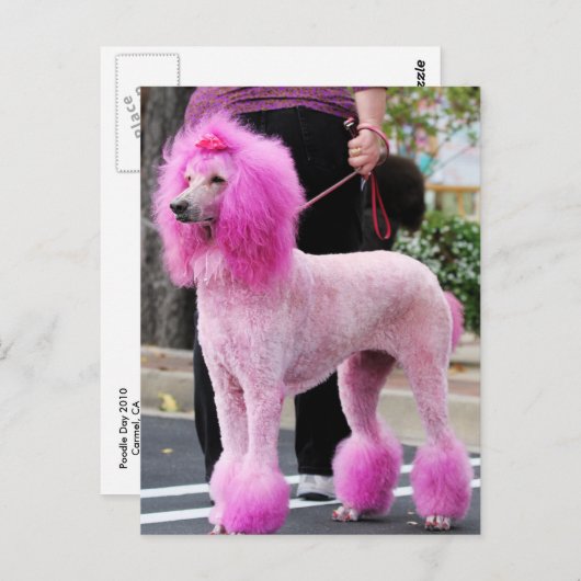 Nuttige dag 2010 #11 briefkaart (Voorkant / Achterkant)