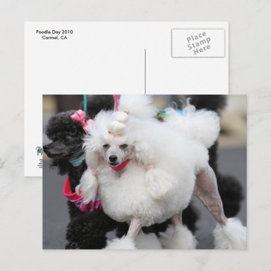 Nuttige dag 2010 #6 briefkaart (Voorkant / Achterkant)