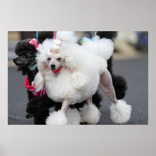 Nuttige dag 2010 #6 poster (Voorkant)