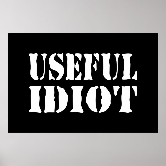 NUTTIGE IDIOOT POSTER (Voorkant)