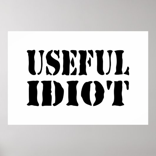 NUTTIGE IDIOOT POSTER (Voorkant)