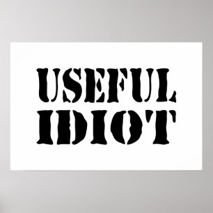 NUTTIGE IDIOOT POSTER