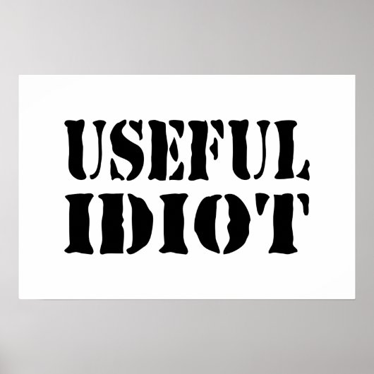 NUTTIGE IDIOOT POSTER (Voorkant)