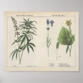 Nuttige Planten | Charlotte Mary Yonge Poster (Voorkant)