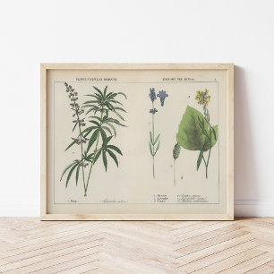 Nuttige Planten   Charlotte Mary Yonge Poster