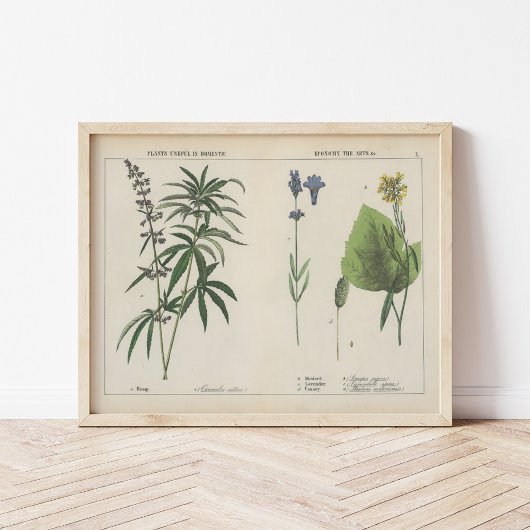 Nuttige Planten | Charlotte Mary Yonge Poster