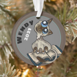 Nuttige studie Cat    CustomOrnament Ornament