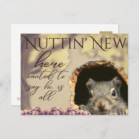 Nuttin' Nieuwe Eekhoorn -stijl Briefkaarten (Voorkant / Achterkant)