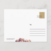 Nuttin' Nieuwe Eekhoorn -stijl Briefkaarten (Achterkant)