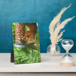 Nutty ondersteboven eekhoorn decoratieve print. fotoplaat