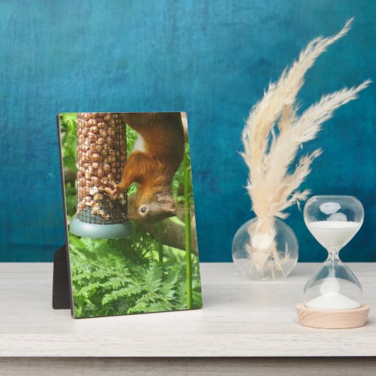 Nutty ondersteboven eekhoorn decoratieve print. fotoplaat (Zijkant)