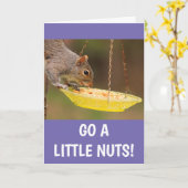 Nutty Squirrel Birthday Kaart (Gele Bloem)