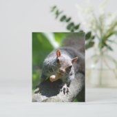 Nutty Squirrel Briefkaart (Staand voorkant)