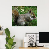 Nutty squirrel Closeup Poster (Thuiskantoor)