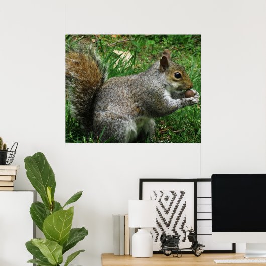 Nutty squirrel Closeup Poster (Thuiskantoor)