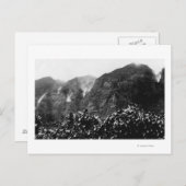 Nuuanu Valley, Hawaii - Uitzicht van de onderste H Briefkaart (Voorkant / Achterkant)