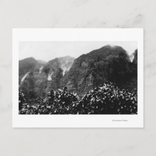 Nuuanu Valley, Hawaii - Uitzicht van de onderste H Briefkaart